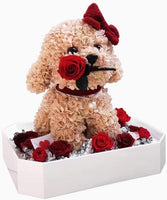 Eternal Love Plush Teddy with Preserved Flowers